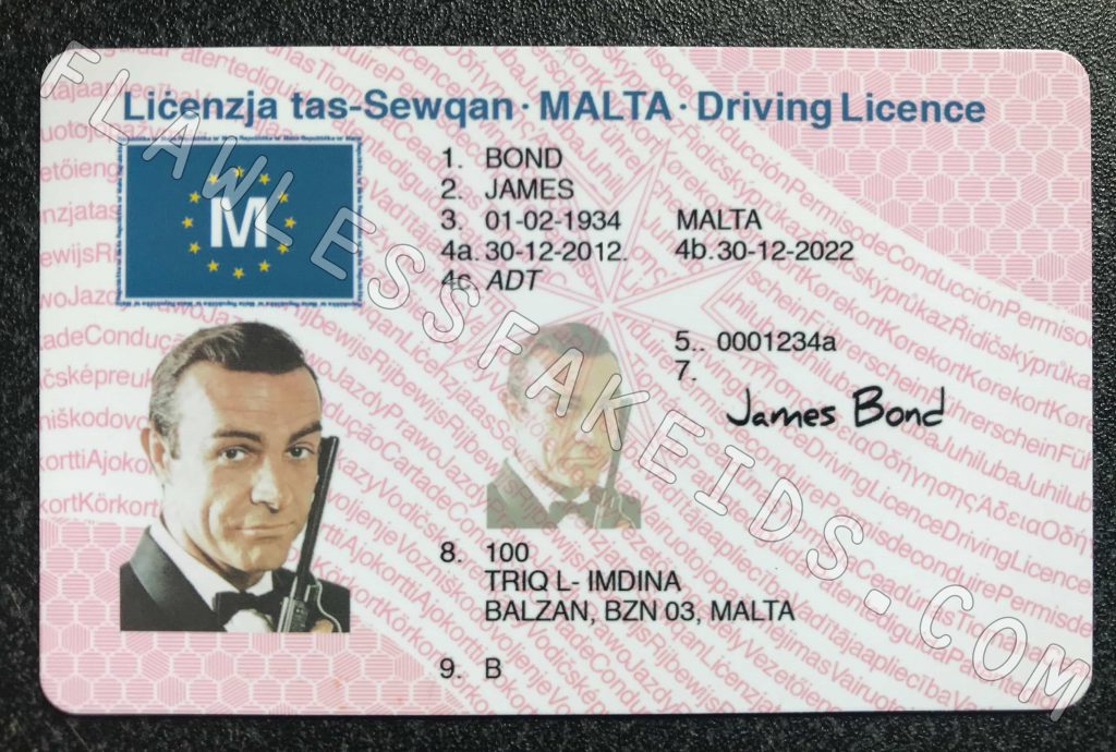 Fake ID European Malta Driving Licence